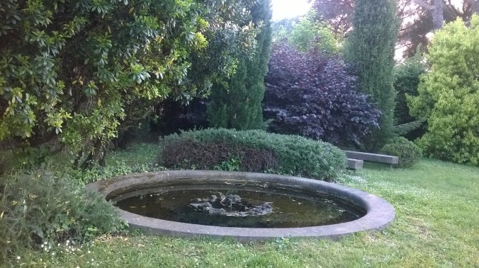 WP_20150510_18_32_51_Pro