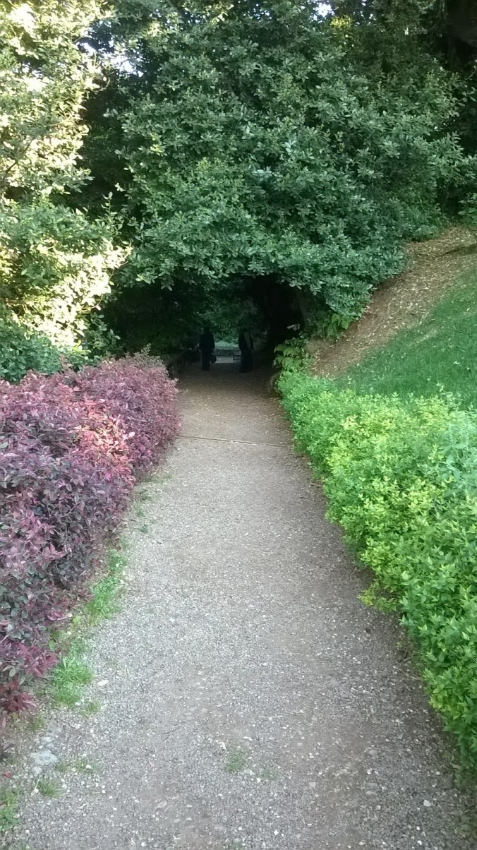 WP_20150510_18_38_36_Pro