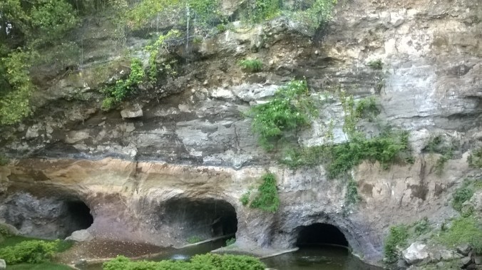 WP_20150510_18_45_04_Pro