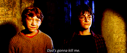 anigif_enhanced-buzz-10979-1380005046-14