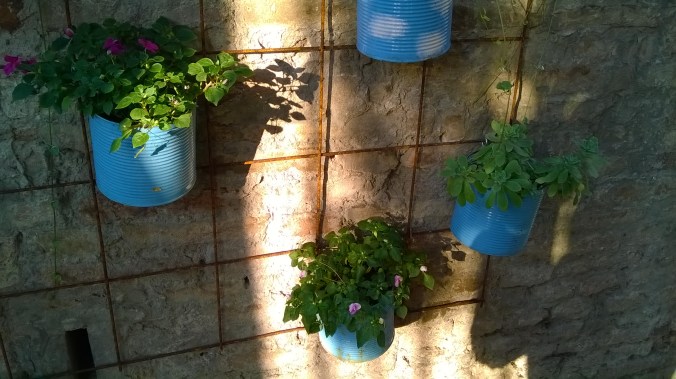 WP_20150723_19_33_15_Pro